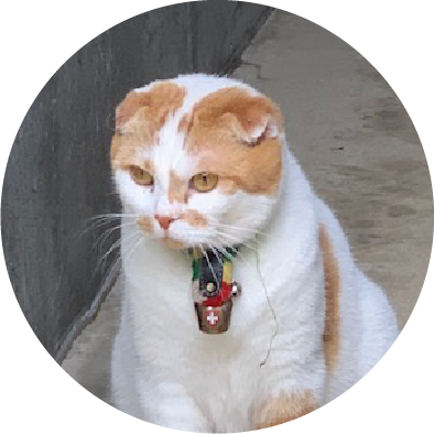猫2