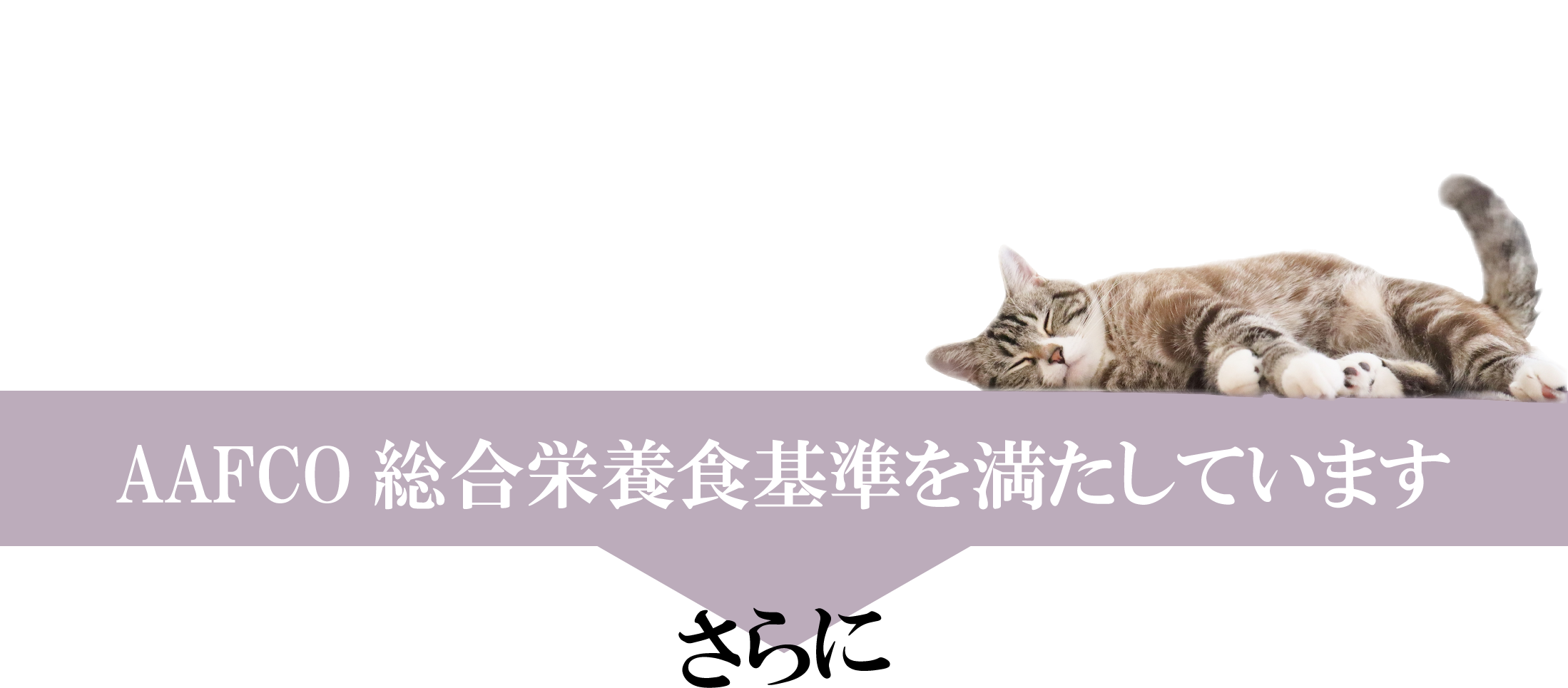 AAFCO表示帯画像
