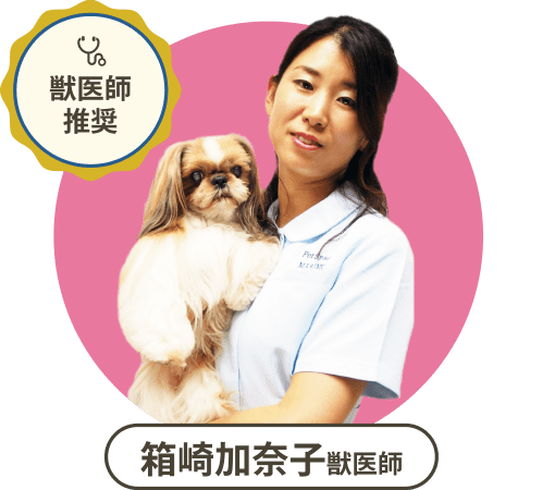 獣医師推奨 箱崎加奈子獣医師