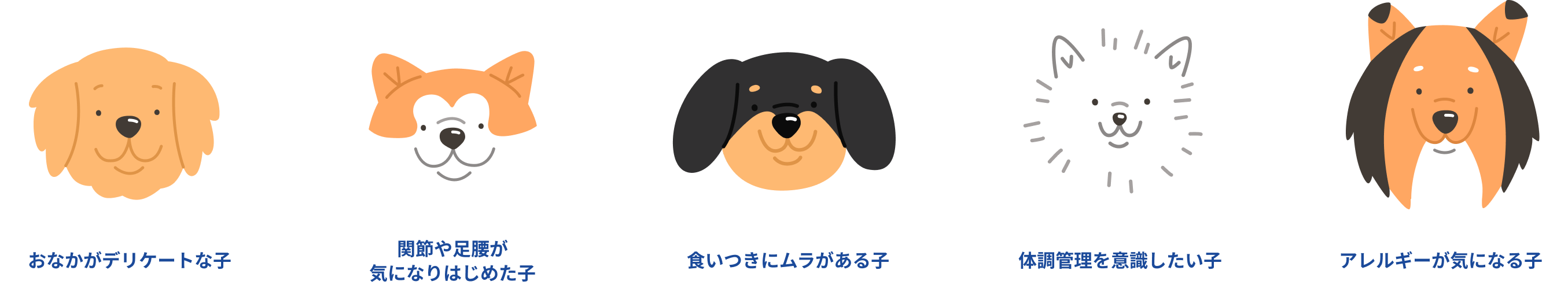 おなかがデリケートな子 関節や足腰が 気になりはじめた子 食いつきにムラがある子 体調管理を意識したい子 アレルギーが気になる子