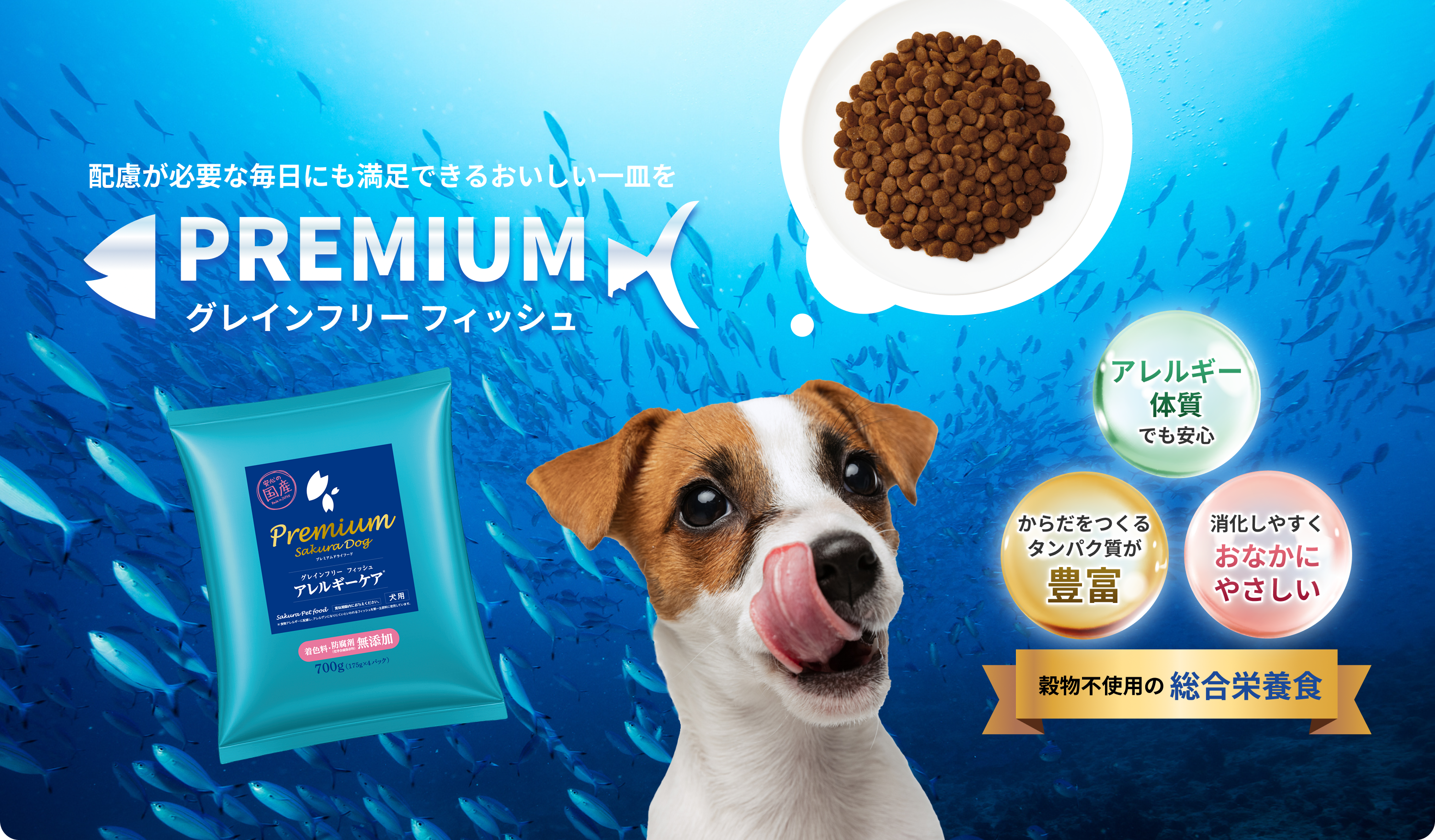 配慮が必要な毎日にも満足できるおいしい一皿を「PREMIUM グレインフリー フィッシュ」[アレルギー体質でも安心][からだをつくるタンパク質が豊富][消化しやすくおなかにやさしい]＜穀物不使用の総合栄養食＞