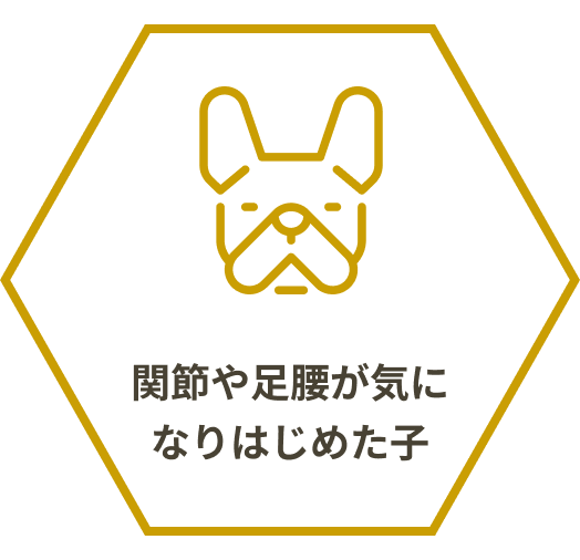 関節や足腰が気になりはじめた子