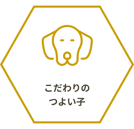 こだわりのつよい子