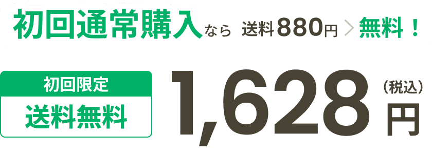 初回通常購入なら送料880円無料！初回限定 送料無料 1,628（税込）円