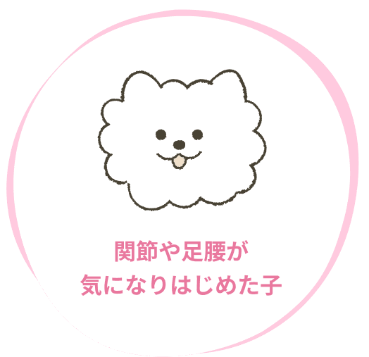 関節や足腰が気になりはじめた子