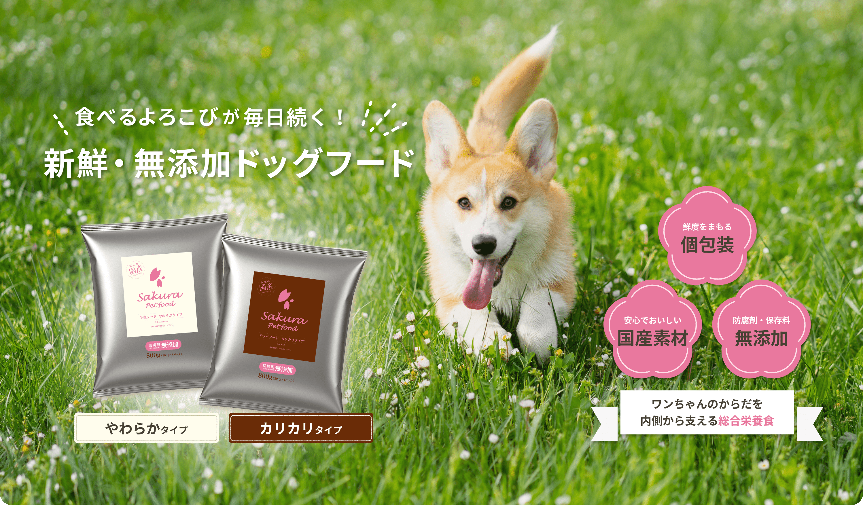 食べるよろこびが毎日続く！新鮮・無添加ドッグフード[鮮度をまもる 個包装/安心でおいしい 防腐剤・保存料/国産素材 無添加]ワンちゃんのからだを内側から支える総合栄養食 やわらかタイプ/カリカリタイプ